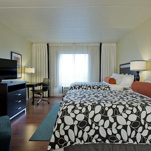 Premium Queen Room